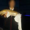 합천손맛낚시터 이미지