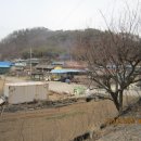 영동바이오 주식회사