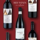 레드보틀 이미지