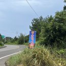 순덕이네 | 제주 성산 현지인 갈치조림 맛집, 돌문어볶음 맛집 “순덕이네”