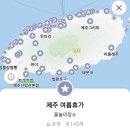 내도바당 | 진짜 먹보가 추천하는 제주도 고등어회 맛집 [ 내도바당 ] 내돈내산 후기 / 회못먹는 친구도 인정함