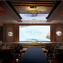 루나의 꿈 이미지