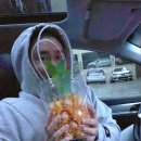 솔바람캠핑장 이미지