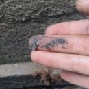 명동의류 이미지