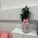 인생댕컷 반려견미용실 이미지