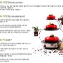 케잌집 - 용인시 처인구 양지로143번길 3 | 케잌집