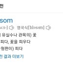 [블러썸 (Blossom)] 이미지