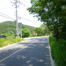 육신사(구) Daum카페
