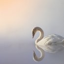 백조미용실 이미지