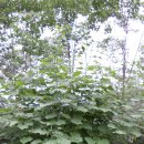 철길농장 이미지