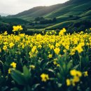 침곡농장 이미지