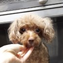 동빙고어린이집 이미지