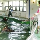 수영종합동물병원 이미지