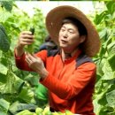 봉황광고 이미지