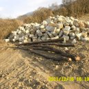 일출농장 이미지