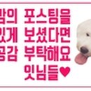 최가네양구펀치볼시래기 이미지