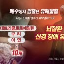 조은물수건 Daum카페