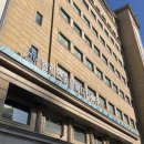 강남메디컬동물병원 네이버블로그