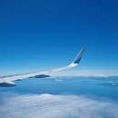 위미문화의 집 | [제주/서귀포] 제주 여행 1일차 / 제주돌문화공원, 교래퐁낭, 금호제주리조트, 야밤의 올레길 5코스...