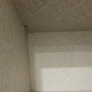 세븐일레븐 영통7단지점 | 🏠 영통살구골7단지 입주청소 후기｜인테리어청소 후 분진까지 깔끔했던 수원입주청소 양심청소