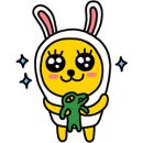 코리아 K9 애견훈련소 이미지