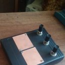 라디오닉스 이미지