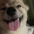 현풍동물병원 이미지