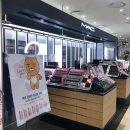 굿헬스케어 | 백투맥 리스트 - 맥 용기 6개를 립스틱으로 교환한 후기