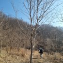 대산조경