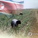 7월 2째주 북한 및 탈북민 소식 이미지