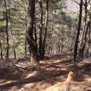 오복농장 이미지