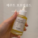 호호바다 | 호호바오일추천｜에꾸뜨 호호바골드 유기농호호바오일 후기