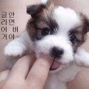 누리달 이미지