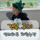 금호1농장 이미지