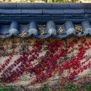 제이 메디컬 이미지