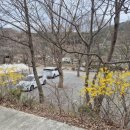 지지벨리유명산오토캠핑장 이미지