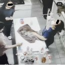 바로 동물병원 이미지