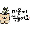 옥헤어싸롱개미와공작새