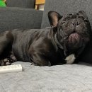 하광정리경로당 이미지