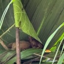 포레스트안경 이미지