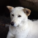 제눈에안경 이미지