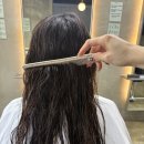 와이하우스 이미지