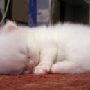 보이지 않는 것과 이미지