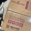 꿀가득마켓 | 해남가볼만한곳 찾는다면? 겨울음식 끝판왕 유기마켓 꿀 호박고구마 후기!