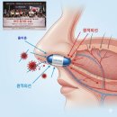 전북대 인수공통전염병연구소 | [공지] “한국 연구자, 니파바이러스 대비 ‘비의약적 선제 대비’ 정책 제안”