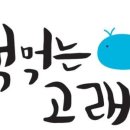 하이고래 이미지