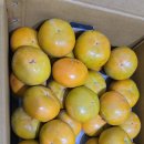 광산구-038 이미지