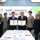 웰니스메디컬