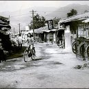 태춘당약국 이미지