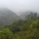 정선군농업기술센터 이미지